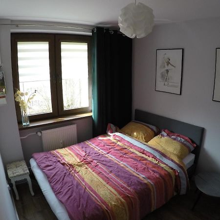 Apartament Bieszczady Lejlighed Ustrzyki Dolne Eksteriør billede