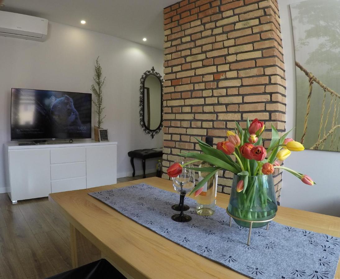 Apartament Bieszczady Lejlighed Ustrzyki Dolne Eksteriør billede